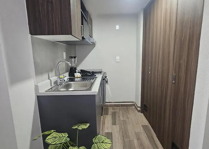Apartamento Departamento En Centro Cdmx *
